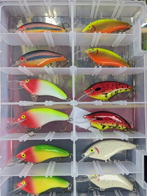 One Dozen Original Dickey Ridgeway Gulp Lures