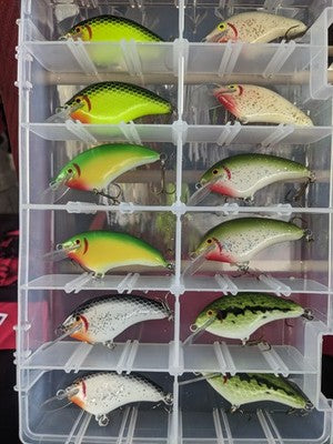 One Dozen Original Dickey Ridgeway Gulp Lures