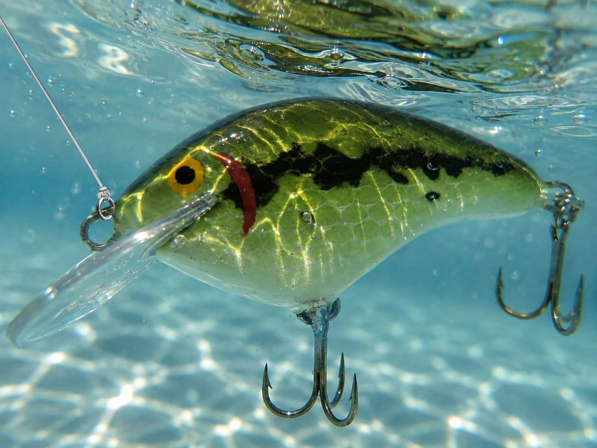 Gulp Lures for Bass Fishing