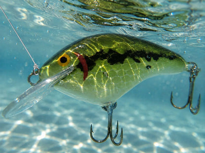 Gulp Lures for Bass Fishing