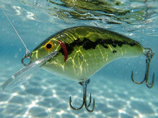 Gulp Lures for Bass Fishing